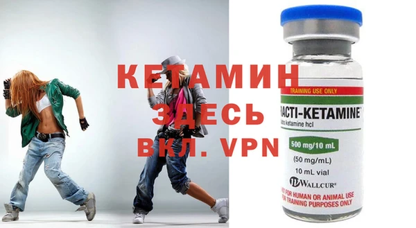 шишки Пересвет