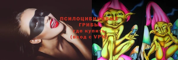 a pvp Аркадак