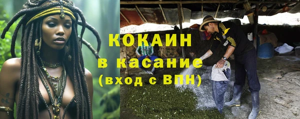 a pvp Аркадак