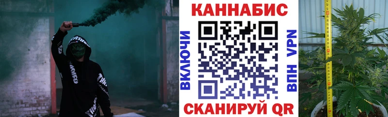 как найти закладки Петухово Бошки Шишки тримм